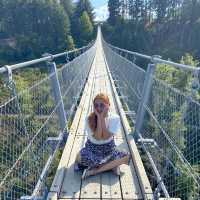 Geierlay Suspension Bridge in Summer dream✨