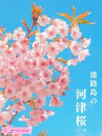 【淡路島】一年中お花が咲く美しい公園⛲️