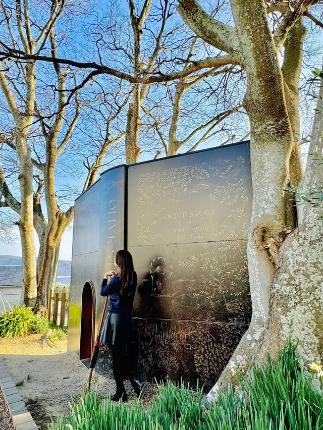【小豆島】映えスポットだらけのオリーブ公園で魔女の宅急便ごっこ🧙‍♀️🧹🫒