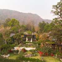 เราพาลูกๆมานอนในสวนกุหลาบที่ Rose Hill Heritage