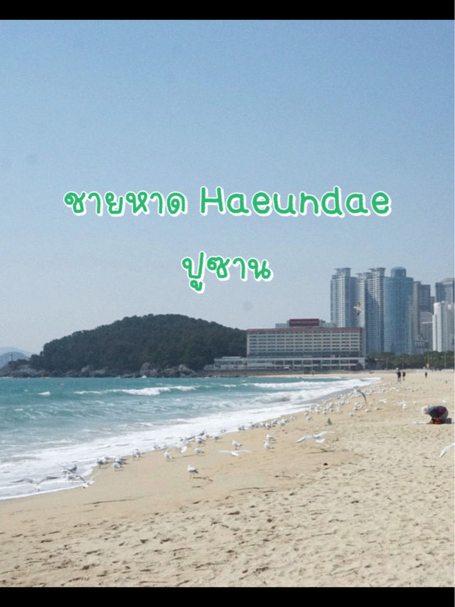 หาดแฮอุนแด ปูซาน ✨