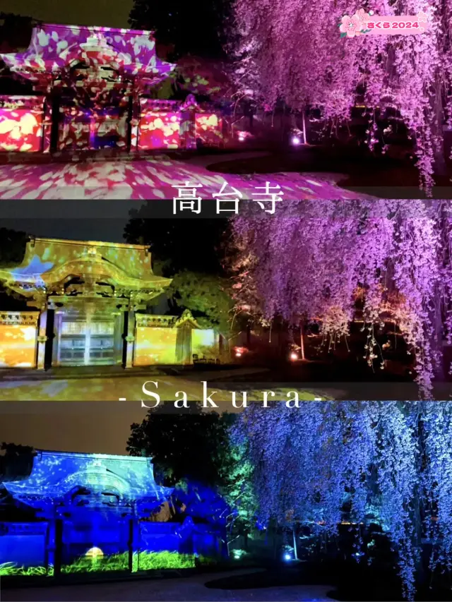 【京都】枝垂れ桜とプロディクションマッピングが同時に見れる庭園
