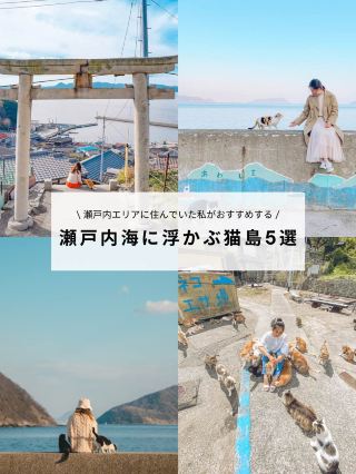 [Save this] 5 cat islands in the Setouchi area that are overflowing with kitties!