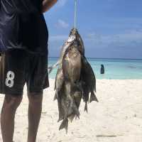 Fishy connections to the Maldives cuisines 