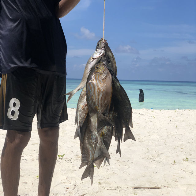 Fishy connections to the Maldives cuisines 