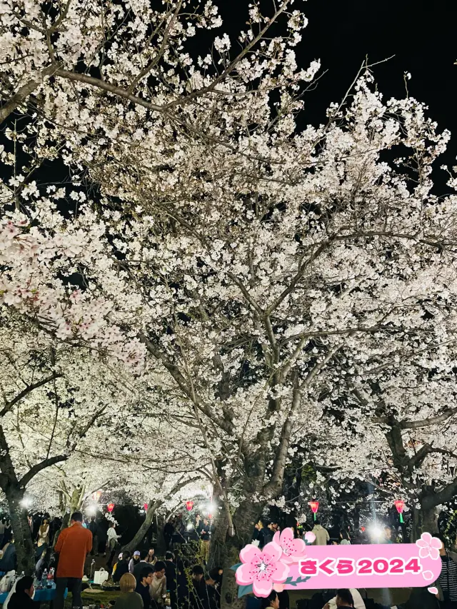 【大阪府】夜桜が美しい大阪城西の丸庭園