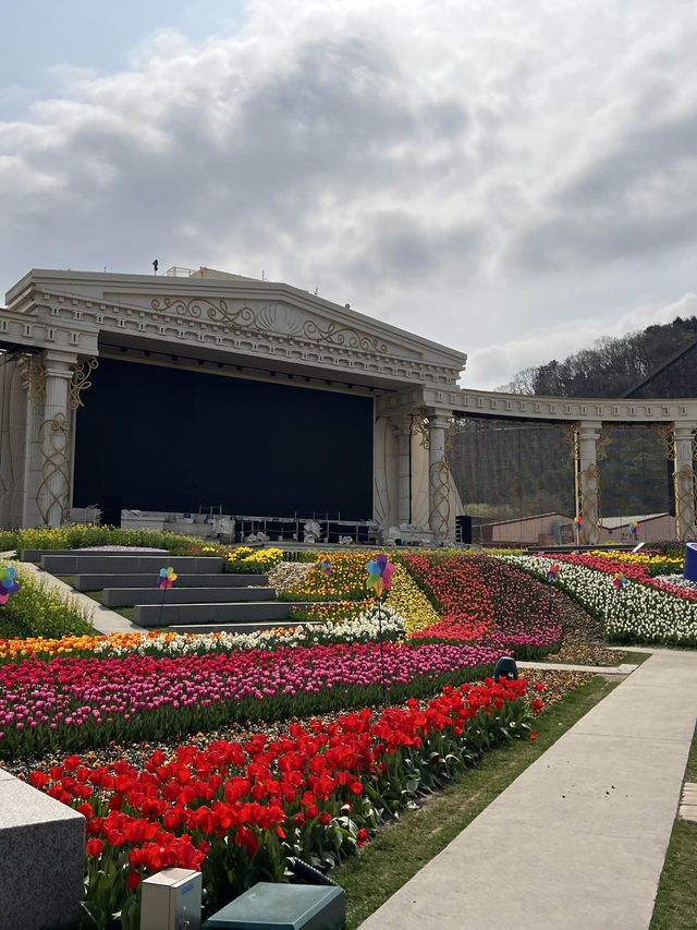 봄 축제🌸 에버랜드 튤립축제🌷 with 산리오