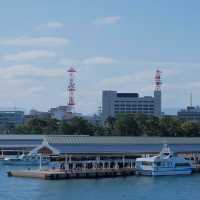 松島觀光遊覽船：東洋春天好去處