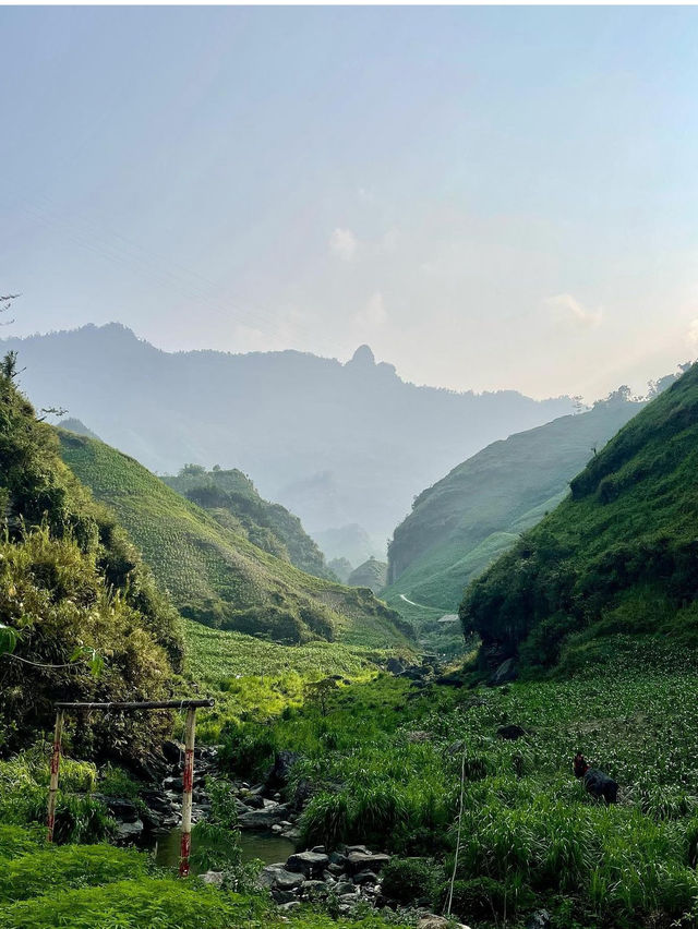 Must visit in Vietnam 🇻🇳 