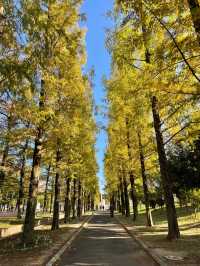 大阪　無料で自然を満喫できる公園⛲️