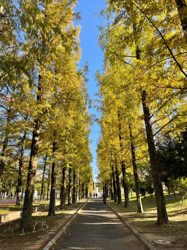 大阪　無料で自然を満喫できる公園⛲️