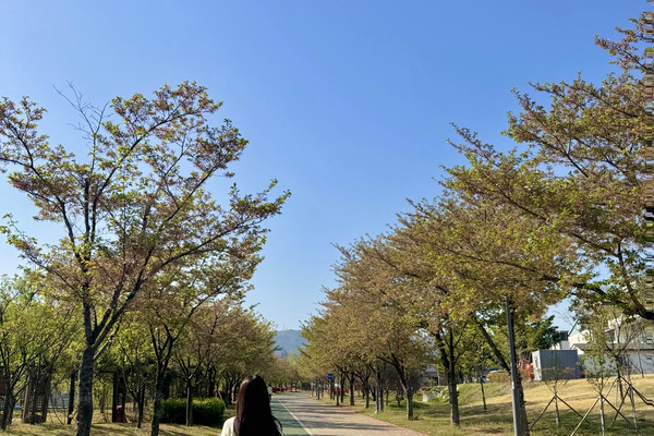 경산에서 가장 산책 하기 좋은 남매 저수지 | 트립닷컴 경산시