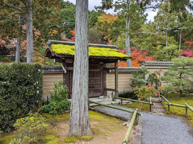 The garden of Entsu-ji Temple