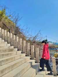 동백꽃필무렵 그 계단 포토존이 여기🌺
