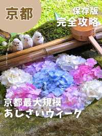 【6/1～6/30】京都最大規模5000株のあじさい