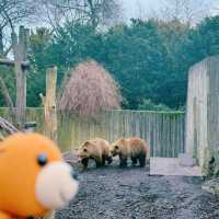 《丹麥🇩🇰 哥本哈根動物園 Copenhagen Zoo》 親子遊好去處