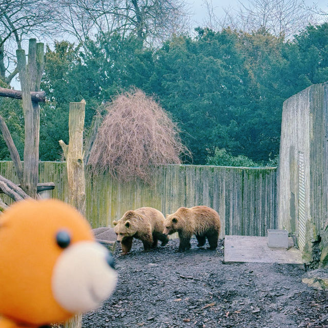 《丹麥🇩🇰 哥本哈根動物園 Copenhagen Zoo》 親子遊好去處