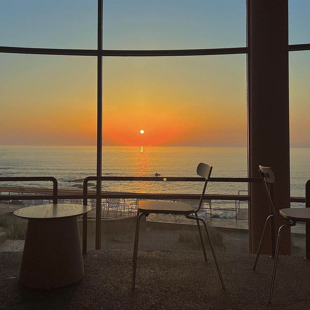 나만 알고싶은 파도리 해수욕장 일몰맛집🌅