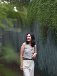 Fort Canning Tree Tunnel in Singapore