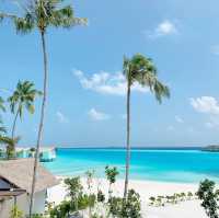 Tropical Bliss: Exploring Maafushi Island 🇲🇻