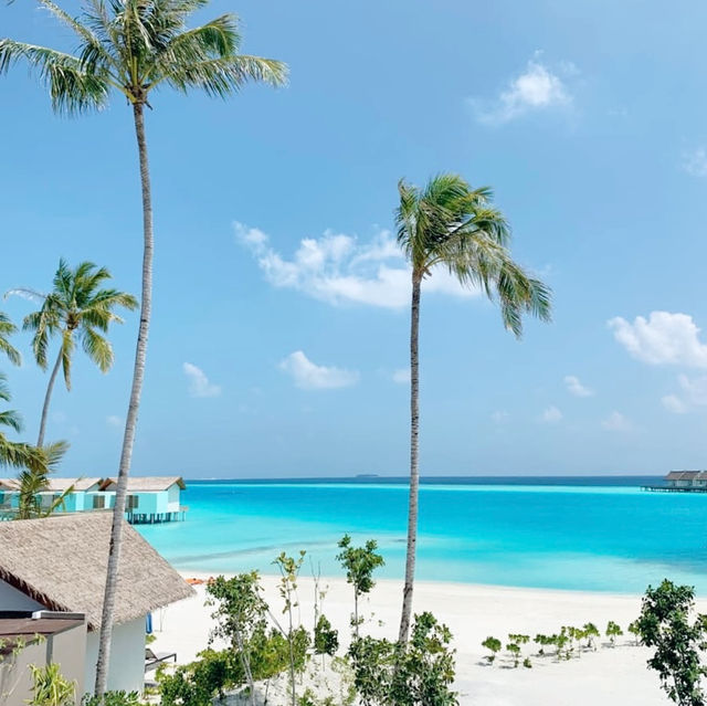Tropical Bliss: Exploring Maafushi Island 🇲🇻