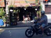 Penang's Street is full of Arts!