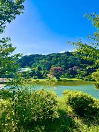 〜神奈川県〜初夏を感じる都会の癒しスポット