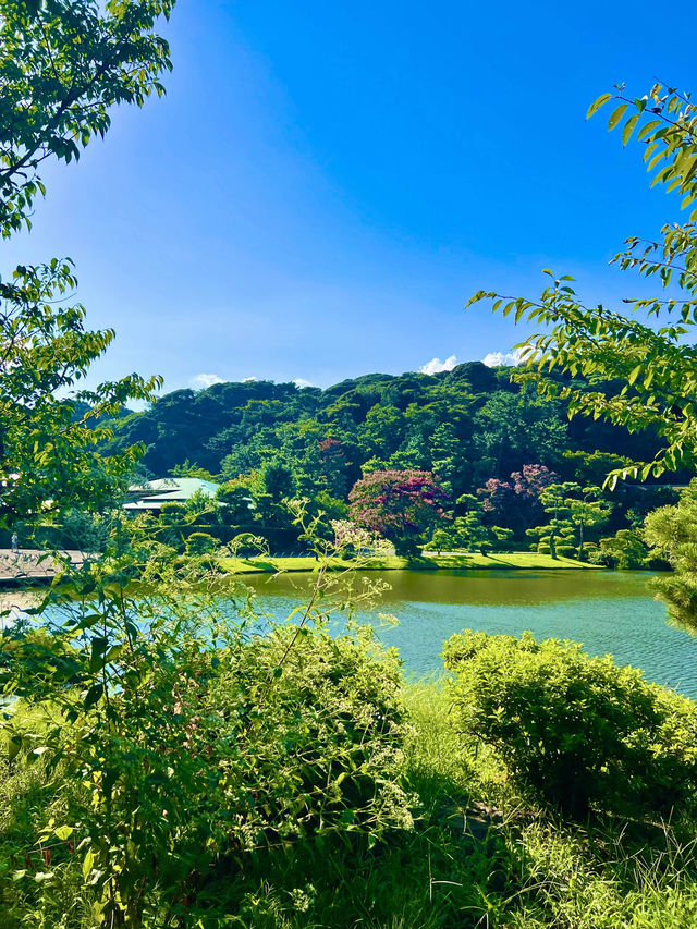 〜神奈川県〜初夏を感じる都会の癒しスポット
