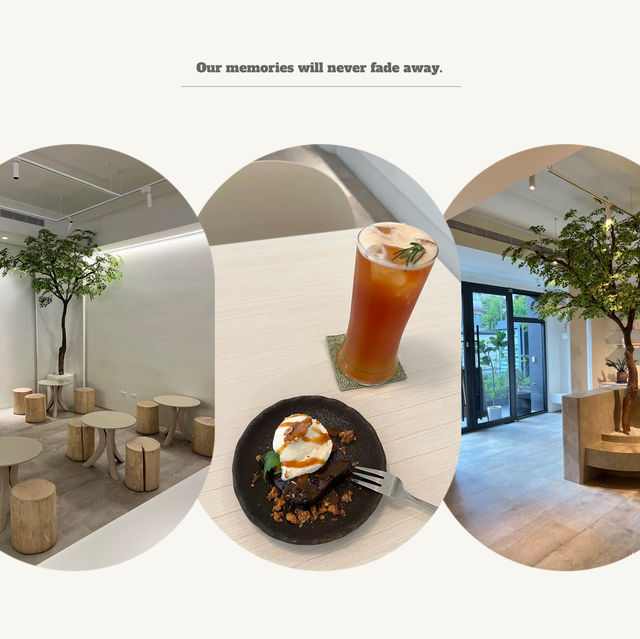 小小時光咖啡☕️靜謐文藝、優質美食，臺北市區難得的小清新極致