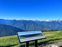 🏔️ Day Trip to Hurricane Ridge