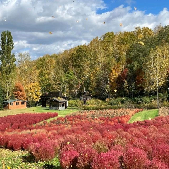 瀧野鈴蘭丘陵公園