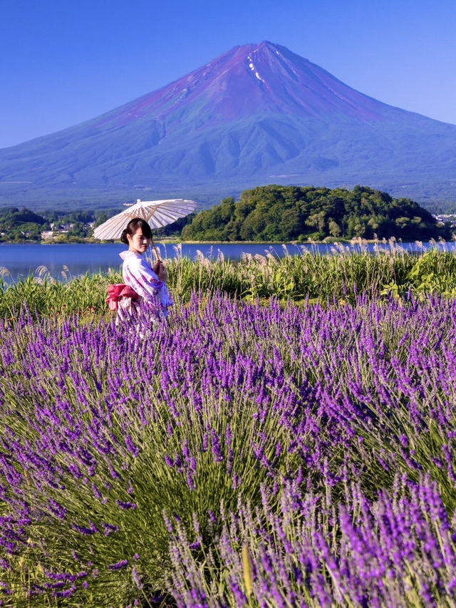 〜山梨県〜これは見た方がいい…衝撃絶景スポット🗻