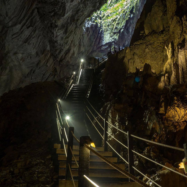 Exploring the Wonders of Gua Mulu