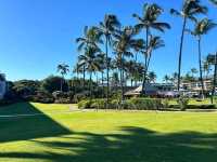⛱️ Relax at the Fairmont Orchid