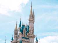 【千葉】やっぱり夏は東京ディズニーランドに行きたい！！