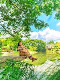 Like A Mountain คาเฟ่เขาใหญ่ 