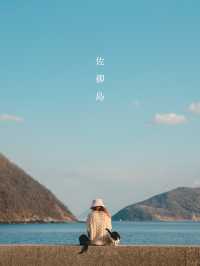 【香川】瀬戸内海に浮かぶ猫島！島猫と絶景に癒される1日！