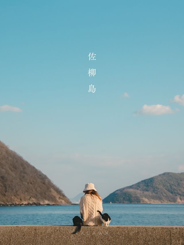 【香川】瀬戸内海に浮かぶ猫島！島猫と絶景に癒される1日！