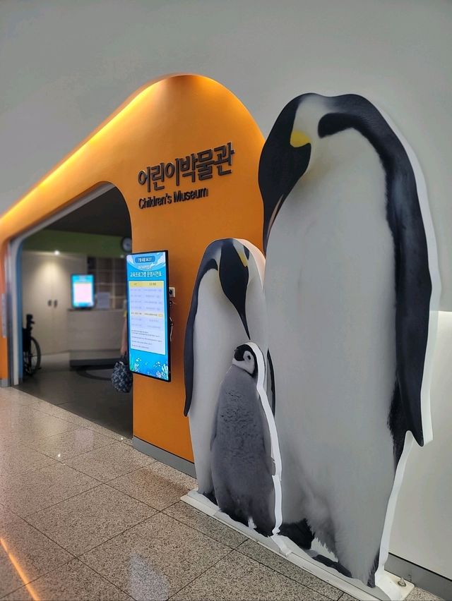 시원하게 즐기는 가족형 부산여름여행지 추천🔥