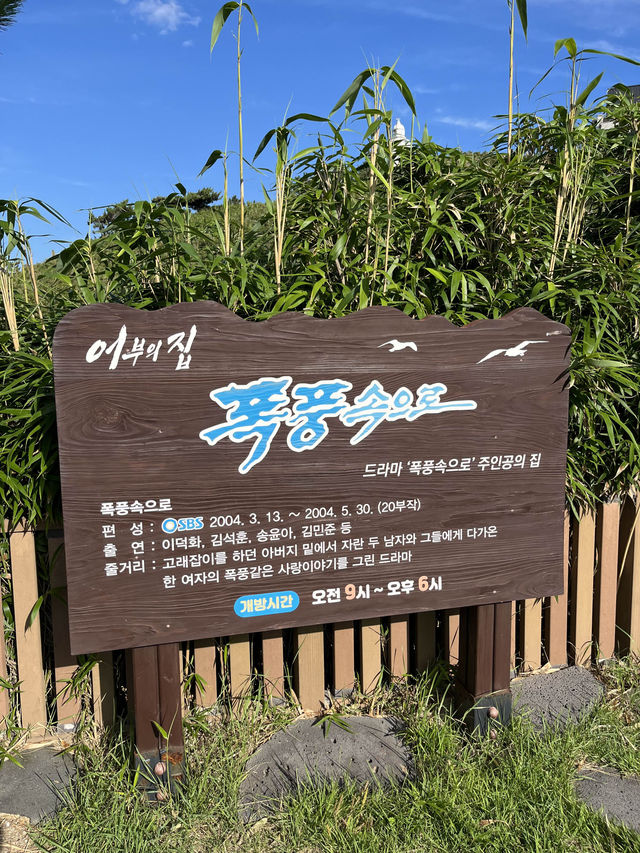 오션뷰가 아름다운 여름여행지