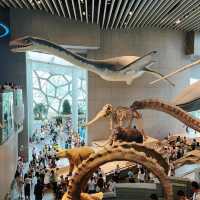 เดินเล่นกันที่ Shanghai Natural History Museum