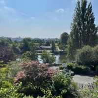 Chester July 2024