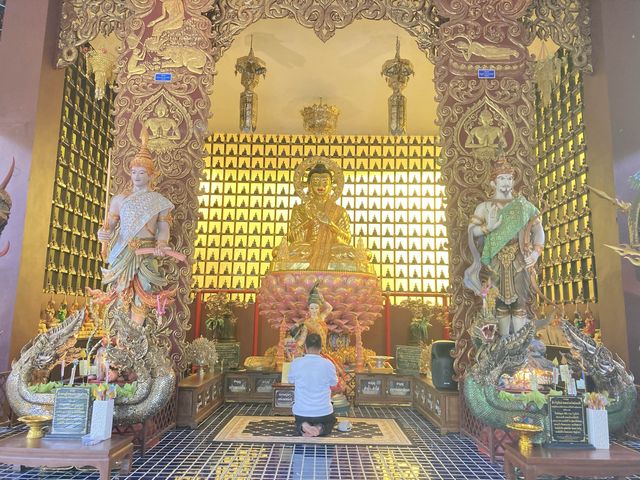 เที่ยวขอพรโชคลาภม่อนพญานาคราช เชียงใหม่ 