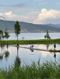 Dali Adventures: From Majestic Mountains to Serene Lakes