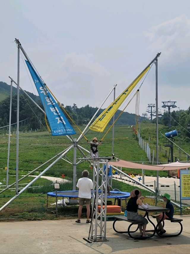 여름에도 힐링 그자체인 평창 알펜시아리조트💙