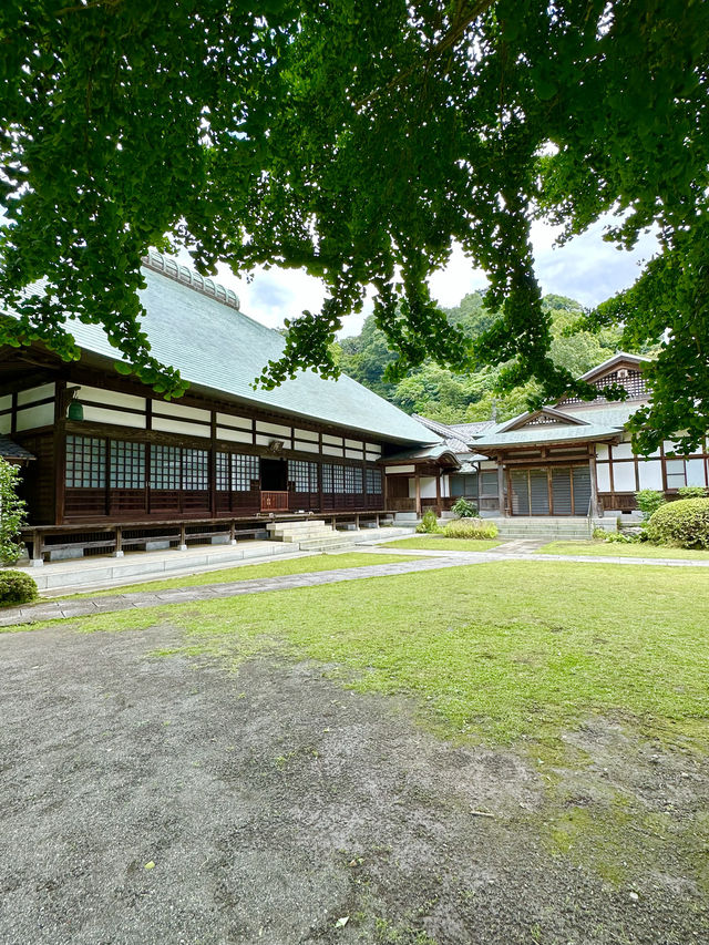 〜神奈川県〜鎌倉の穴場スポット浄明寺