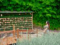 Phukaew Resort & Adventure Park #รีสอร์ทเขาค้อ