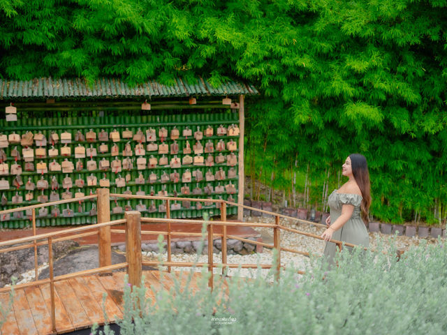 Phukaew Resort & Adventure Park #รีสอร์ทเขาค้อ