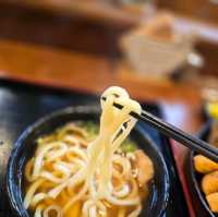 대전 맛집 우동야 DCC 점