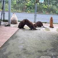 【動物に癒されるトリアスふれあい動物園】